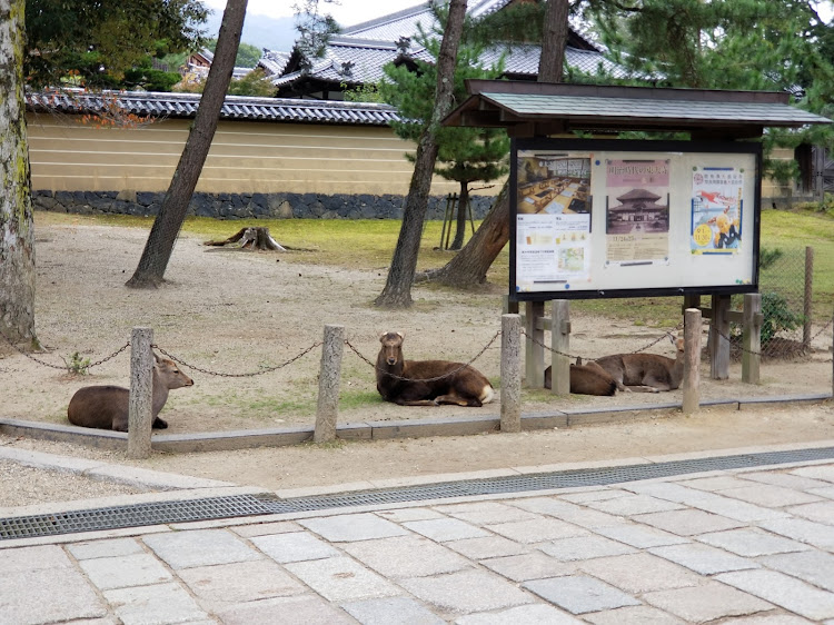 の投稿画像3枚目