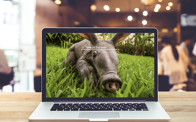 Aardvark HD Wallpapers Theme