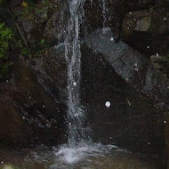 三板橋會館