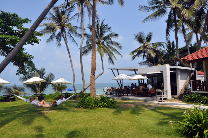 Случайности неслучайны