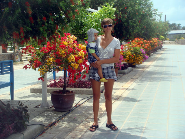 Случайности неслучайны