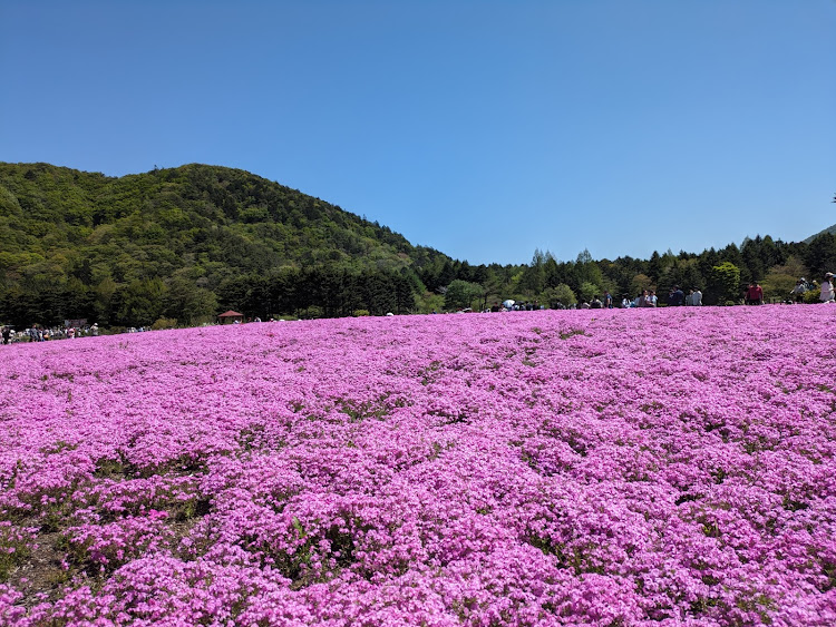 の投稿画像4枚目