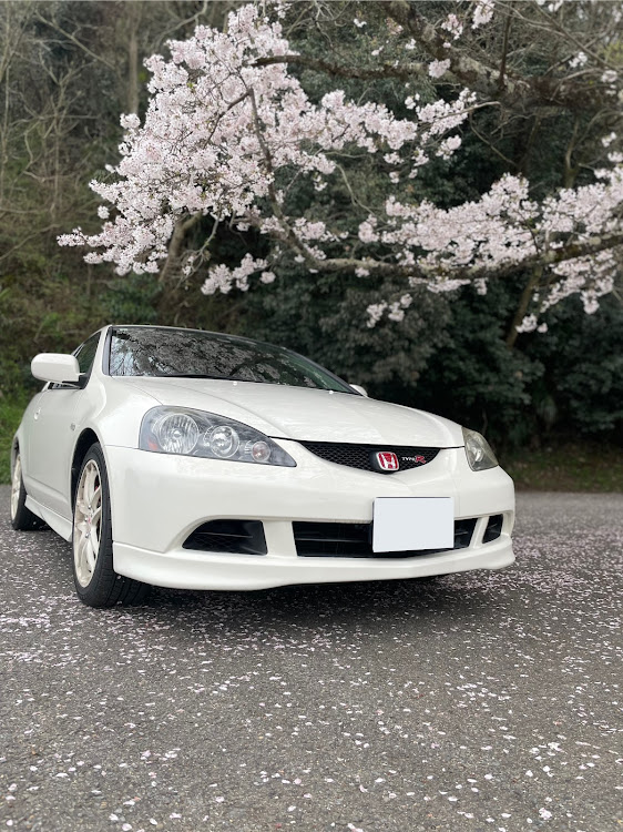 インテグラの桜・紀の川フルーツライン・新紙幣に関するカスタム事例の投稿画像1枚目
