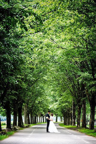 Fotógrafo de bodas Rainer Hohnhaus (hohnhaus). Foto del 26 de junio 2015