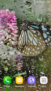 Macro Butterfly Live Wallpaper(圖3)-速報App