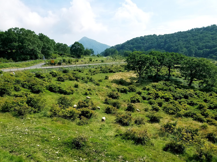 ゴルフ6 GTIの群馬・赤城山・覚満淵・黒檜山に関するカスタム事例の投稿画像2枚目