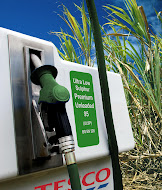 Bioethanol Bioethanol Vs Biodiesel