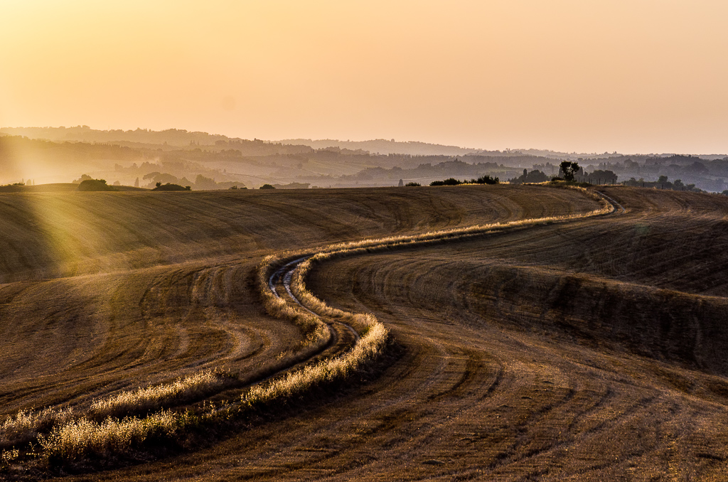 curve nel grano di francescoleonardis_photo