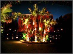 ����T�����]