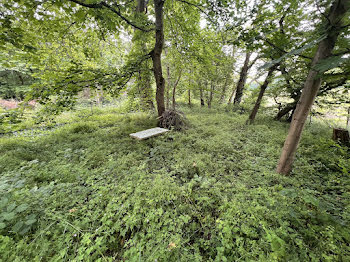 terrain à Breux-Jouy (91)