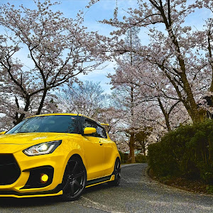 スイフトスポーツ ZC33S