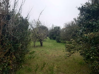 terrain à Saint-Hilaire-de-Riez (85)