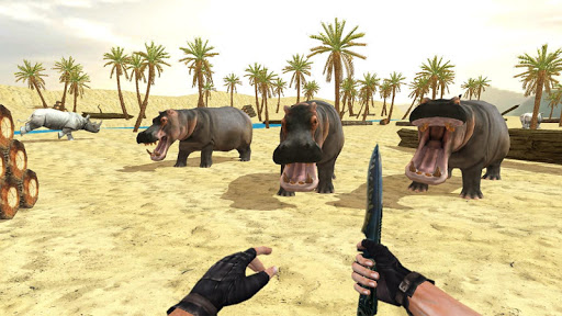 Safari Hunt 3D