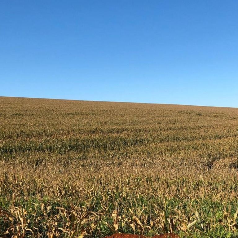 Fazendas à venda Zona Rural