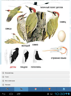 EcoGuide: Russian Birds Screenshots 12