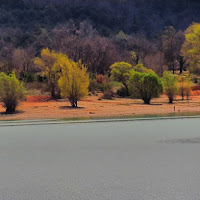 Colori naturali di 