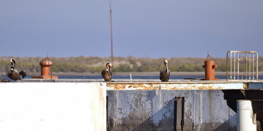 Мексика. И станут направления дорогами.