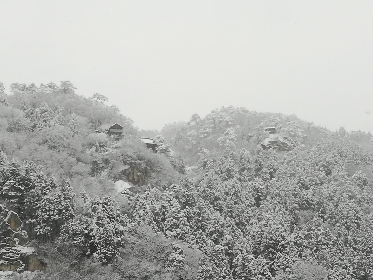 Parting view of Hoju-san Risshaku-ji. 