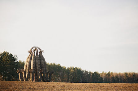 Fotógrafo de casamento Dima Gorbunov (dimi3i). Foto de 14 de maio 2015