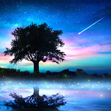 Terraの恵み ～ 心が落ち着く、瞑想・ヨガ・リラックス用ヒーリングミュージック ～ - Blessings Of Terra - Healing Music For Meditation, Yoga, Relaxing -