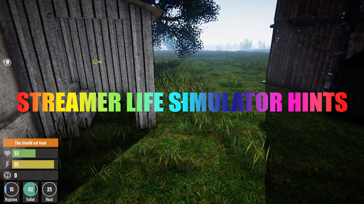 Streamer Life Simulator Hints - v1.0