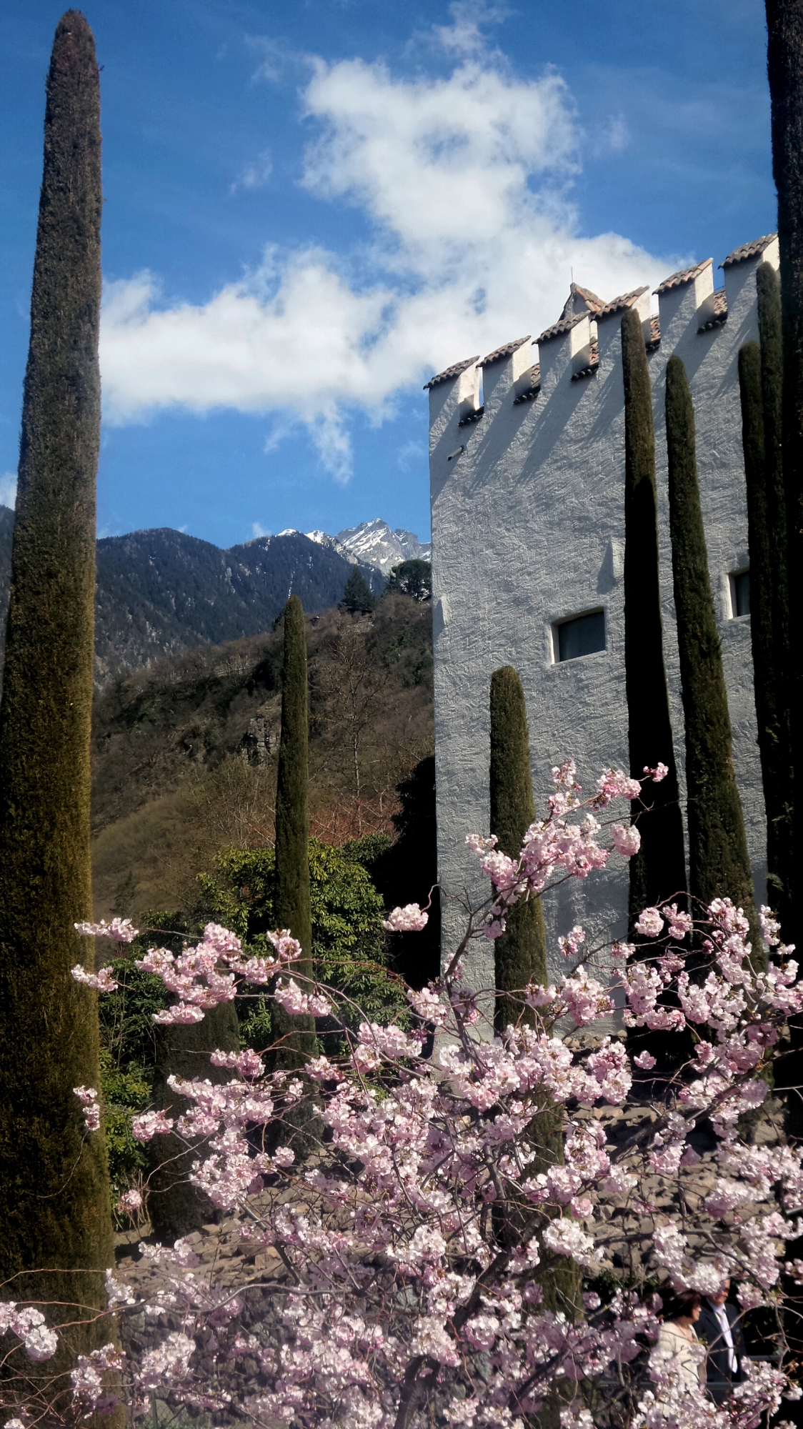 Nascosti tra i fiori di Francesca Boschetti