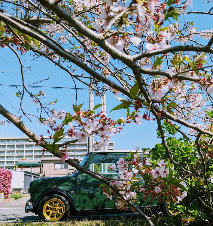 ミニクーパー1.3の🌸🌸🌸・今日はなんの日・カマの節句・カオチューン‥😎👍に関するカスタム事例の投稿画像6枚目