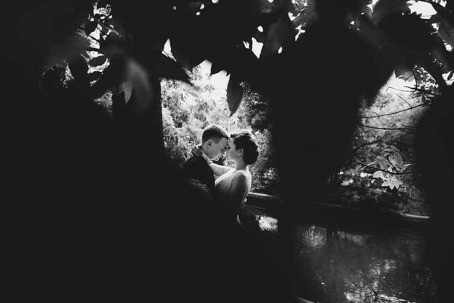 結婚式の写真家Lyu Komarovskaya (lukomarovskaya)。2016 12月7日の写真