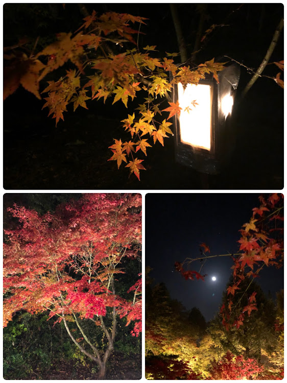ヴェルファイアの御田家🍢・Teamｓ' Lowgun・Daiya Forest・曽木公園・皆さん良い週末を🙏に関するカスタム事例の投稿画像3枚目