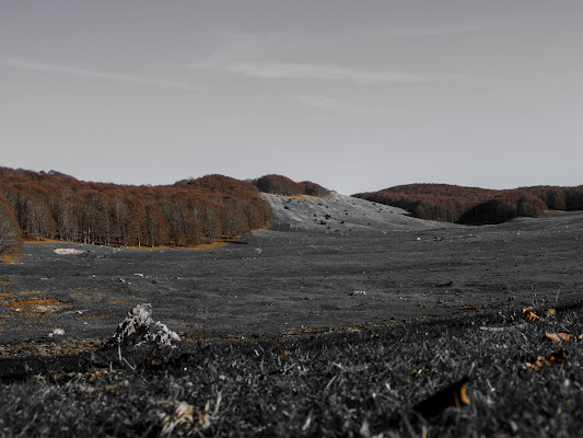 l'autunno... di IAMGIUCALL