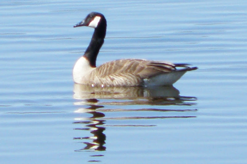 P4286085.JPG