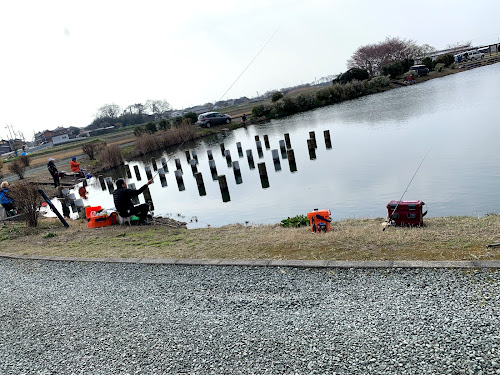 琵琶湖の固有種 本モロコ を釣る 釣り人ながけんのブログ