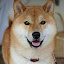 Shiba Inu Themes & New Tab