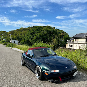 ロードスター NA8C