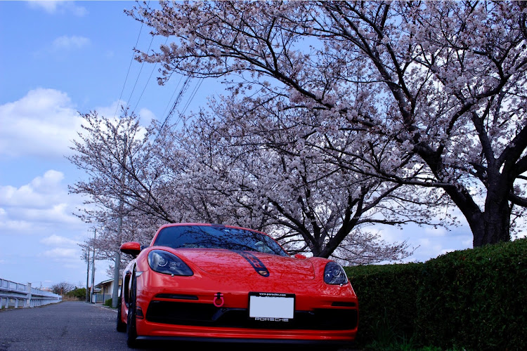718 ケイマンの今日は一日中カメ活📸・ピックアップに選ばれたい・桜とコラボ・菜の花畑とコラボ・ピックアップ一度でも載ってみたいに関するカスタム事例の投稿画像7枚目