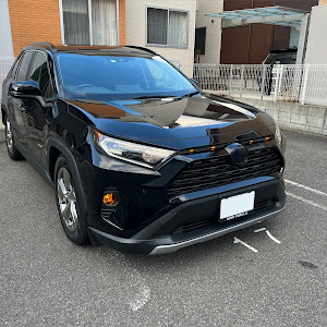 RAV4 AXAH54