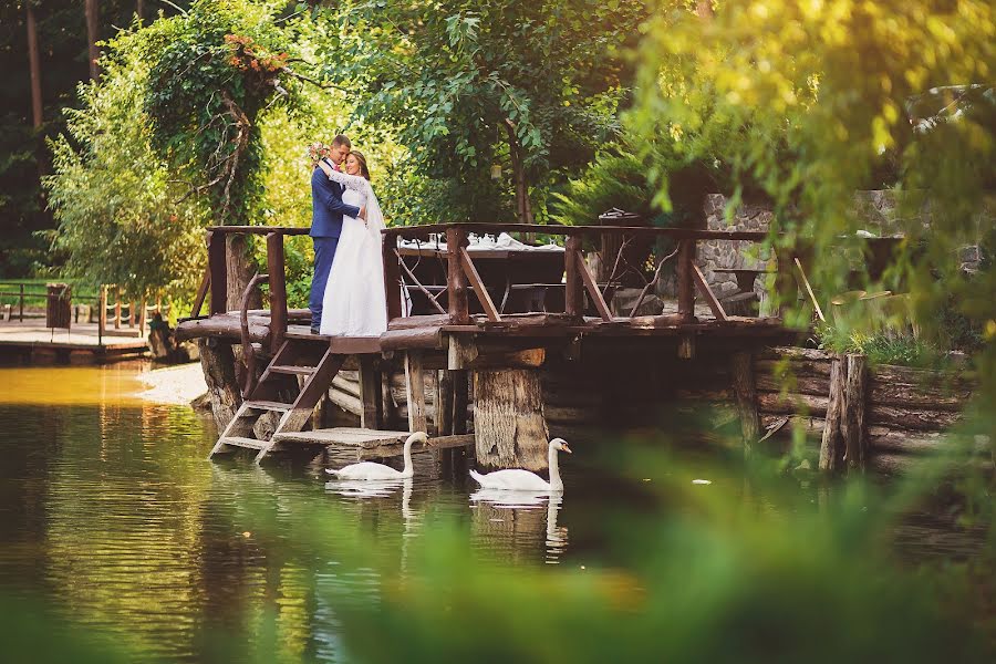 Photographe de mariage Oleg Roganin (roganin). Photo du 16 novembre 2017