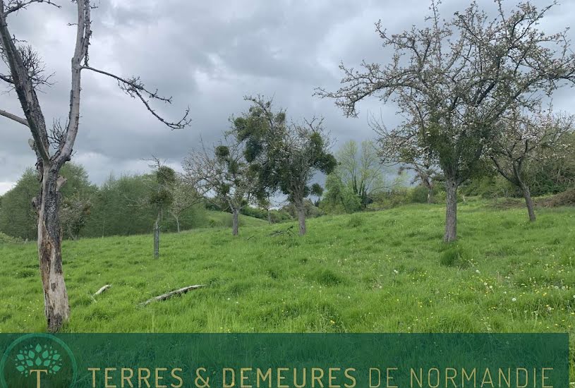  Vente Terrain agricole - à Camembert (61120) 