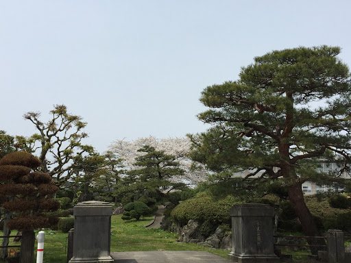 水道公園