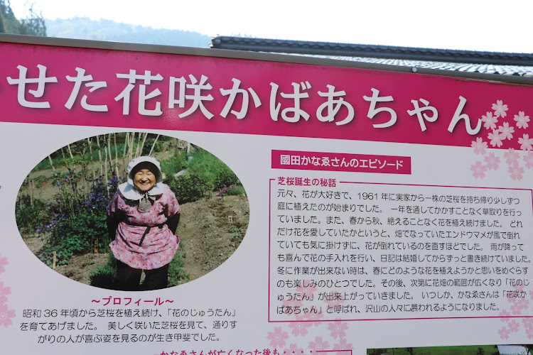 TT クーペの國田家の芝桜に関するカスタム事例の投稿画像15枚目