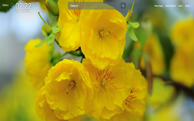 Yellow Flowers Wallpapers NewTab Theme