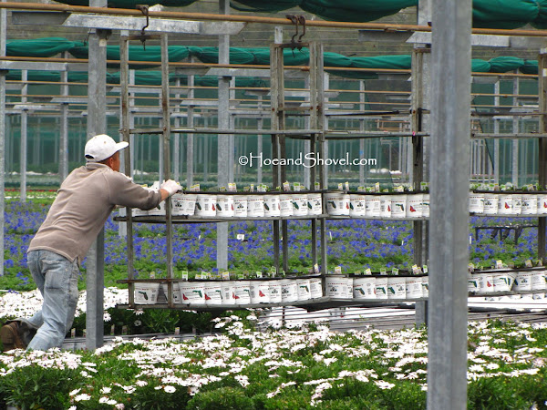 Riverview Flower Farm Field Trip