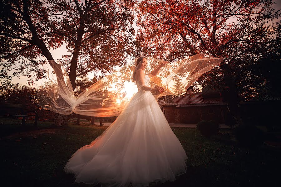 Photographe de mariage Dejan Nikolic (dejan-nikolic). Photo du 15 octobre 2017