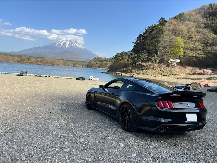 マスタング クーペのマスタング・フォード・アメ車好きと繋がりたい・シェルビーに関するカスタム事例の投稿画像1枚目