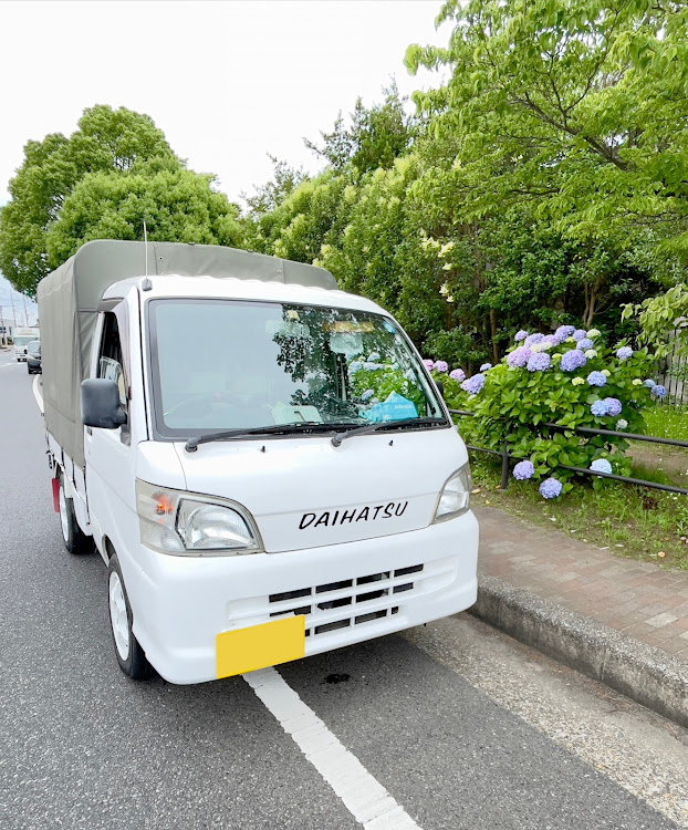 ハイゼットトラックの紫陽花コラボ・軽トラ野郎・梅雨の晴れ間に関するカスタム事例の投稿画像1枚目