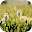Weekdays - Stickers Download on Windows