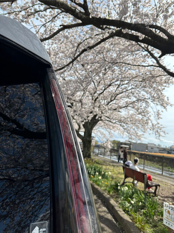 エスカレードのサクラと愛車・ドライブ・桜に関するカスタム事例の投稿画像2枚目