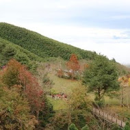 山上人家森林農場