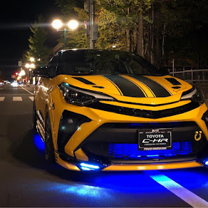 C-HR NGX10