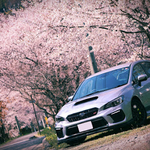 WRX STI VAB